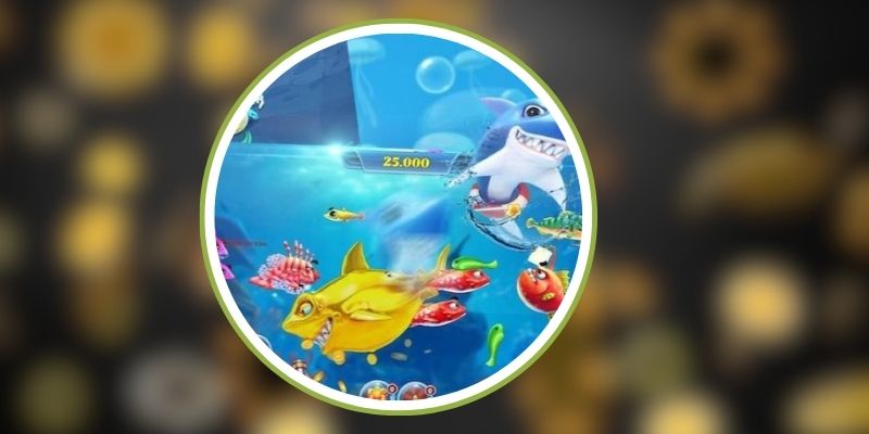 Săn Cá Rồng 777LOC - Trải Nghiệm Săn Thưởng Đỉnh Cao 3 Vì sao nên chọn Săn cá rồng 777LOC?